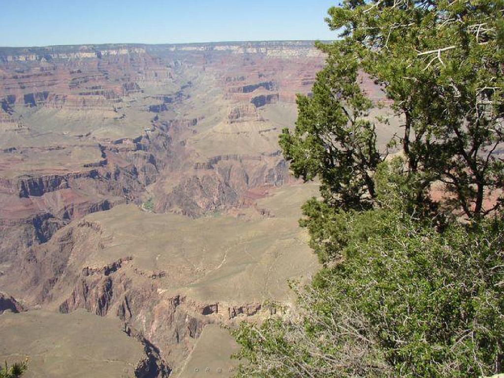 107  USA LE GRAND CANYON 2005_000013.jpg